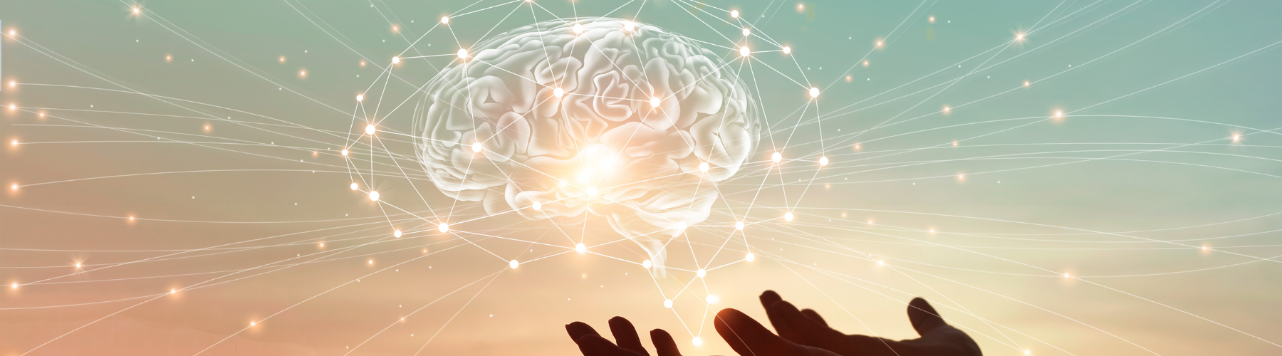 BrainLuxury | Founders' Story