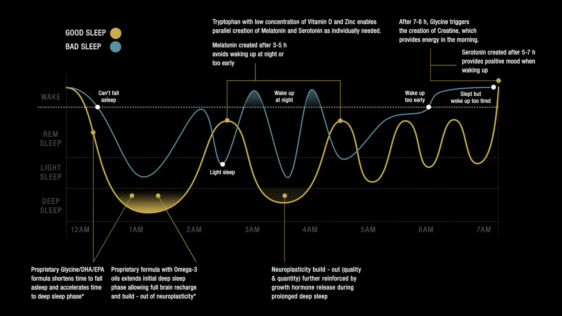Infographic demonstrating the positive impact of DELTA BrainLuxury on sleep cycles