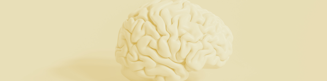 a cartoon like picture of the human brain