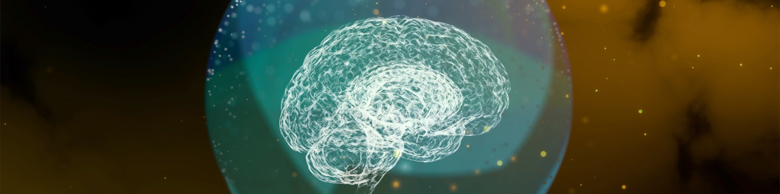 Brainluxury Brain Health Blog Neuroplasticity The Magical Power Of Brainluxury Brain Health Blog Neuroplasticity The Magical Power Of