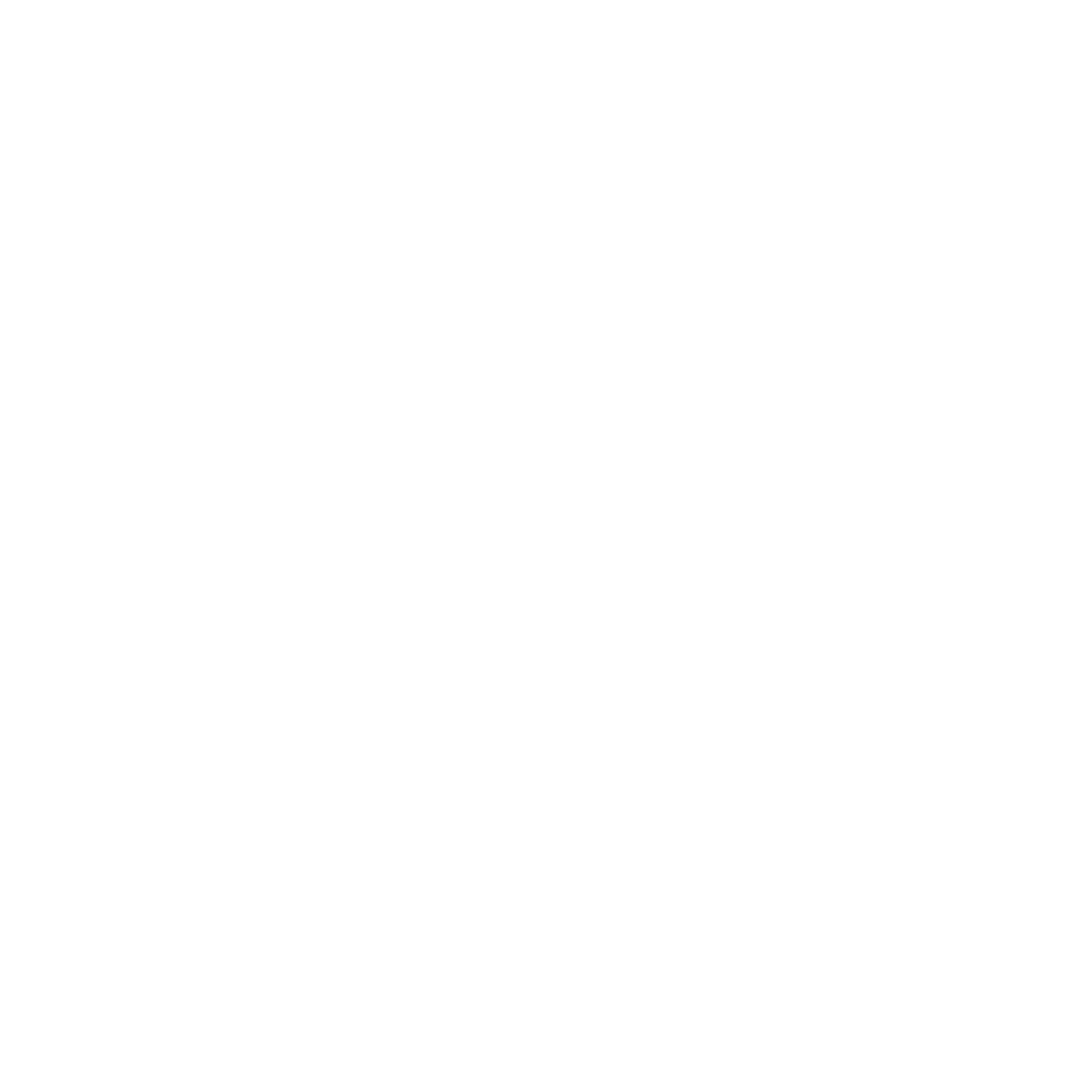 BrainLuxury logo